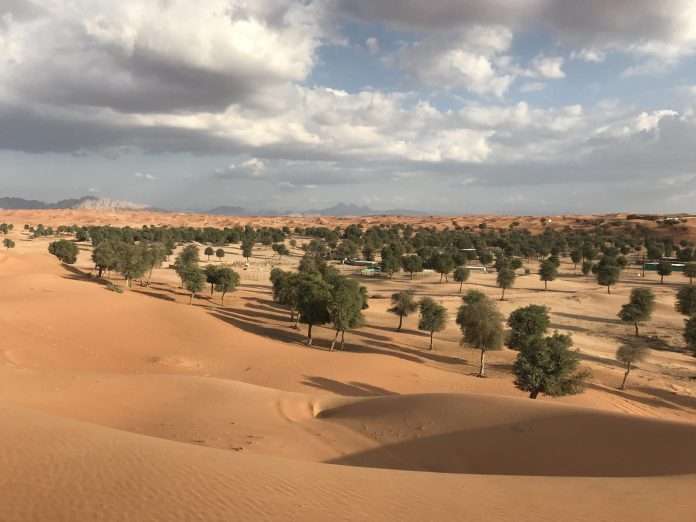 Al Hayer forest dubai
