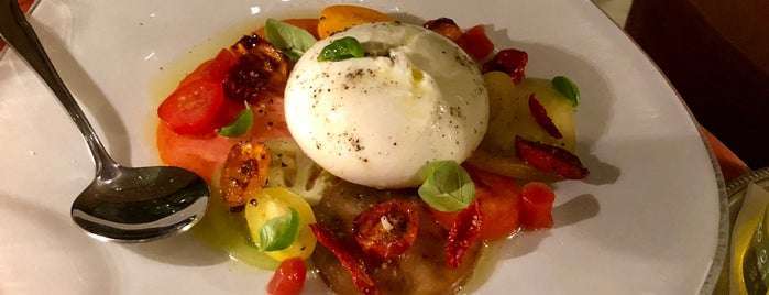 Buy Burrata Cheese in Dubai