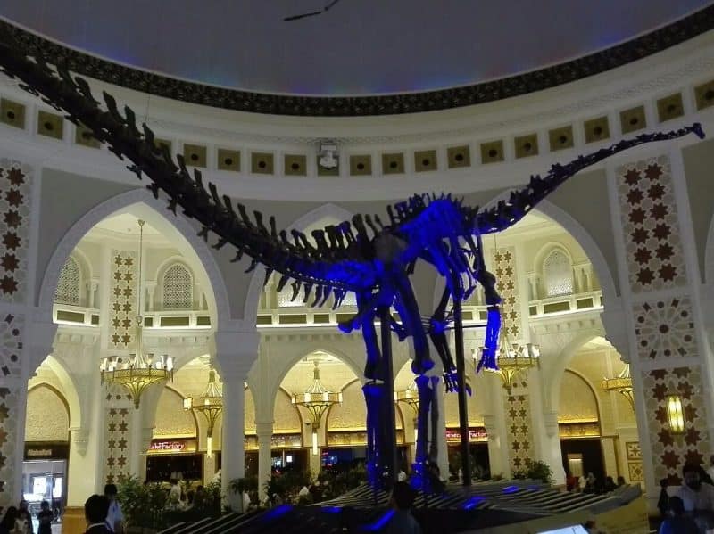 Dubai dino in Dubai mall Skeleton