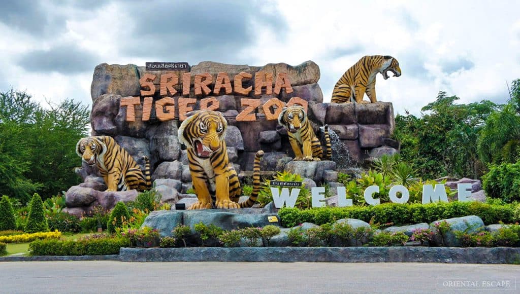 Sri Racha Tiger Zoo: Ticket Prices and Timings Revealed