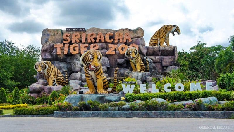 sri racha zoo bangkok timing and ticket price